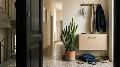 Dove mettere la lingua di suocera in casa secondo il Feng Shui (e dove evitarla)